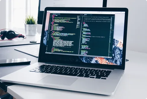 Our Comprehensive SEO Approach Is Your
                      - 问鼎娱乐下载