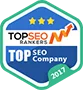 Named #1 Digital Agency in Many Countries! - 问鼎娱乐下载